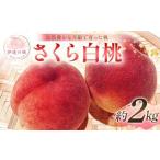 ふるさと納税 【2026年�