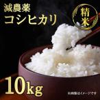 減農薬コシヒカリ 精米 10kg