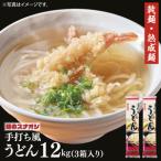 ふるさと納税 【麺のスナオシ】リピーター続出！手打風うどん３箱　計12kg（200ｇ×60袋）（乾麺）【饂飩 麺 長期保存 保存食 防災 人気 大.. 茨城県水戸市