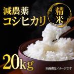 減農薬コシヒカリ 精米 20kg