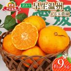 訳あり 早生温州 9kg