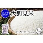 特別栽培 大野見米 ヒノヒカリ 5kg
