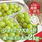 ふるさと納税 【2025年発送】冬のシャインマスカット3-5房/計2kg〜(岡山県産)  冬限定【配送不可地域：離島】【1548980】 岡山県津山市