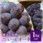 種なし完熟 ニューピオーネ 2房