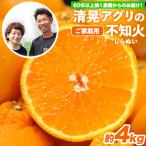 清晃アグリのご 不知火 しらぬい 約4kg