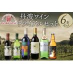 丹波ワイン トライアル 6本セット