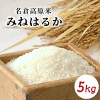 令和7年度産★ ~名倉高原米 みねはるか 5kg