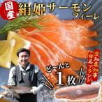 生食可 絹姫サーモン冷凍フィーレ カルパッチョ