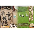玄米10kg×6か月 京丹後久美浜産 特別栽培米こしひかり