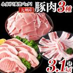 小分け 真空パック 九州産豚肉3種 計3.1kg
