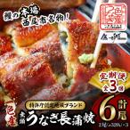 一色産うなぎ 無頭 長蒲焼2尾 320g