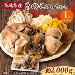きのこの詰め合わせ Lサイズ 約2kg_野菜