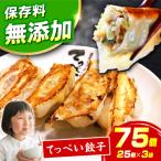 てっぺい餃子75個 餃子