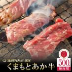 GI くまもとあか牛 焼肉用 500g