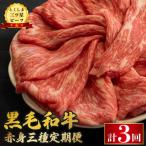 牛肉 定期便 3回 赤身 和牛 とくしま三つ星ビーフ