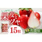 いちご 岐阜いちご”美濃娘” 15粒入り化粧箱×1箱