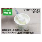 砂糖不使用 プレーンヨーグルト 20個