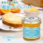 奄美 たんかんバター 1個