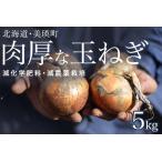 fu.... налог шар лук порей 5kg[. мир 7 год производство предварительный заказ прием ]книга@ гора сельское хозяйство место Hokkaido прекрасный . шар лук порей [007-21] Hokkaido прекрасный . блок 