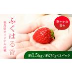 香りが強い オリジナル品種 ふくはる香 小粒