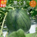 黒小玉 BonBonリッチ 2玉