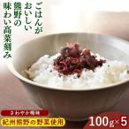 ごはんがおいしい 熊野の味わい高菜刻み 100g×5袋セット