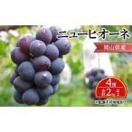 ぶどう ニュー ピオーネ 4房