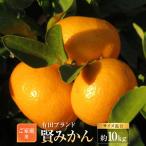 有田のブランド 賢みかん 約10kg