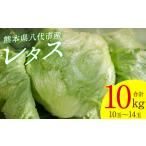 fu.... налог lettuce 10kg (10 шар ~14 шар ) овощи лист предмет ... салат установка .. свежий прямая поставка от производителя рефрижератор Kumamoto префектура . плата город 