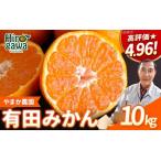 有田 みかん 10kg