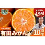 有田 みかん 大玉 10kg