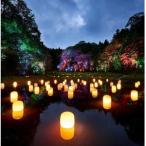 ふるさと納税 チームラボ 幽谷隠田跡鑑賞券【大人(高校生以上)2名分】_旅行券・チケット   _【配送不可地域：離島・沖縄県】【1591344】 茨城県