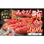 本マグロ 大賞受賞 みやび鮪 赤身 計約600g