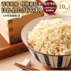 米 特別栽培米 はれわたり玄米10kg 5kg×2袋