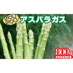 アスパラガス 800g