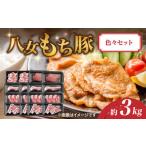 八女もち豚色々セット 計約3キロ