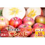 ふるさと納税 【26年3月発送】りんご 平均糖度13度以上！ サンふじ 約10kg 訳あり クール便 青森 果物 フルーツ 林檎 リンゴ くだもの 不揃い 規.. 青森県弘前市