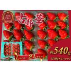 ふるさと納税 いちご イチゴ 古都華 L〜2Lサイズ 270g×2P 計540g | いちご イチゴ 苺 フルーツ 果物 くだもの 新鮮 いちご ブランドいちご .. 奈良県葛城市