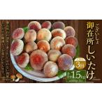 御在所肉厚生しいたけ 計約1.5kg 1回あたり約500g