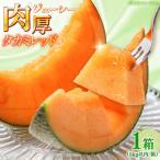 タカミメロン レッド 1箱