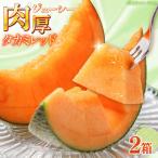 タカミメロン レッド 2箱