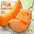 訳あり タカミメロン レッド 1箱