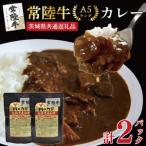 カレーセット2パック レトルト 時短 保存食