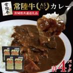 カレーセット 計4パック
