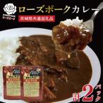 カレーセット計2パック ポークカレーレトルト