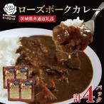 カレーセット計4パック ポークカレーレトルト