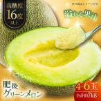 肥後グリーンメロン 約7kg