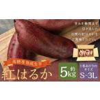 熟成高糖度 紅はるか 熟成生芋5kg S~3Lサイズ