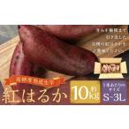熟成高糖度 紅はるか 熟成生芋10kg さつま芋