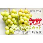 ふるさと納税 <25年発送先行予約>【訳あり品】山梨県産シャインマスカット2房〜3房(合計1kg程度) 229-009 山梨県笛吹市